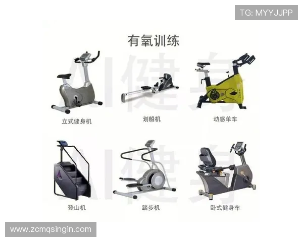 健身器材图片大全及各类器材对应锻炼部位详细介绍 健身器材图片大全及各类器材对应锻炼部位详细介绍